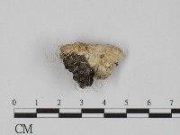 登錄號:F0018869藏品圖，第1張