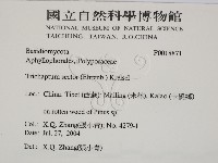 登錄號:F0018871藏品圖，第2張