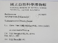 登錄號:F0018872藏品圖，第2張