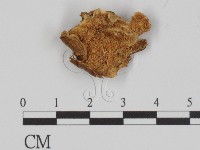 登錄號:F0018872藏品圖，第1張