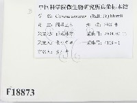 登錄號:F0018873藏品圖，第2張