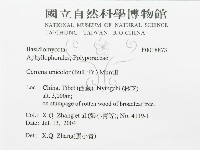 登錄號:F0018873藏品圖，第3張