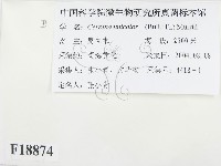 登錄號:F0018874藏品圖，第2張