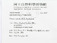 登錄號:F0018874藏品圖，第3張