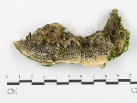 登錄號:F0018874藏品圖，第1張