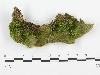 登錄號:F0018874藏品圖，第4張
