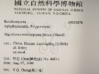 登錄號:F0018876藏品圖，第2張
