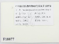 登錄號:F0018877藏品圖，第2張