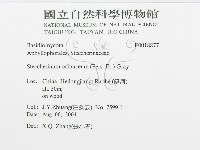 登錄號:F0018877藏品圖，第3張