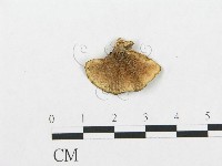 登錄號:F0018877藏品圖，第1張