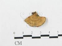 登錄號:F0018877藏品圖，第4張