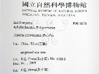 登錄號:F0018878藏品圖，第2張