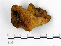 登錄號:F0018878藏品圖，第3張
