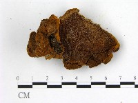 登錄號:F0018878藏品圖，第4張