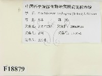 登錄號:F0018879藏品圖，第2張