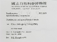 登錄號:F0018879藏品圖，第3張
