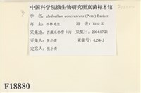 館號:F0018880藏品圖，第2張