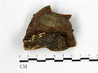 登錄號:F0018881藏品圖，第3張