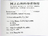 登錄號:F0018882藏品圖，第2張