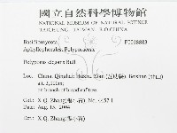 登錄號:F0018883藏品圖，第2張