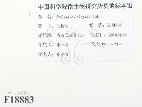 登錄號:F0018883藏品圖，第3張