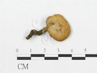 登錄號:F0018883藏品圖，第1張