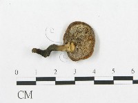 登錄號:F0018883藏品圖，第4張