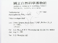 登錄號:F0018884藏品圖，第2張