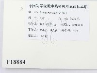 登錄號:F0018884藏品圖，第3張