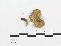 登錄號:F0018884藏品圖，第1張