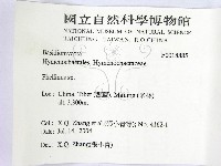 木層孔菌屬藏品圖，第2張