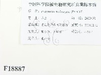 登錄號:F0018887藏品圖，第3張