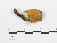 登錄號:F0018887藏品圖，第4張