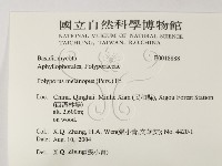 館號:F0018888藏品圖，第2張