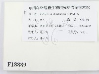 登錄號:F0018889藏品圖，第2張