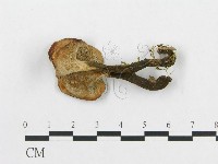 登錄號:F0018889藏品圖，第1張