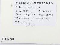 登錄號:F0018890藏品圖，第2張