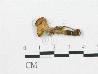 登錄號:F0018890藏品圖，第1張