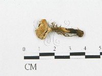 登錄號:F0018890藏品圖，第4張