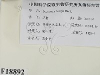登錄號:F0018892藏品圖，第2張