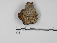 登錄號:F0018892藏品圖，第3張