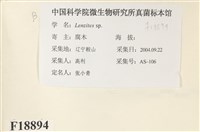 登錄號:F0018894藏品圖，第2張