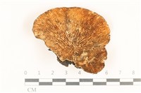 登錄號:F0018894藏品圖，第3張