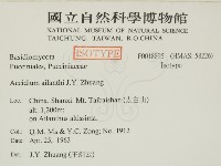 登錄號:F0018895藏品圖，第2張