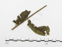 登錄號:F0018895藏品圖，第4張