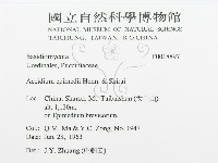 登錄號:F0018897藏品圖，第3張