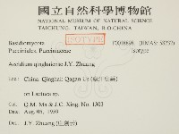 登錄號:F0018898藏品圖，第2張