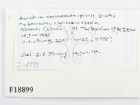 登錄號:F0018899藏品圖，第2張