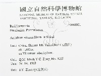 登錄號:F0018901藏品圖，第3張