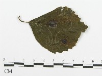 登錄號:F0018901藏品圖，第4張